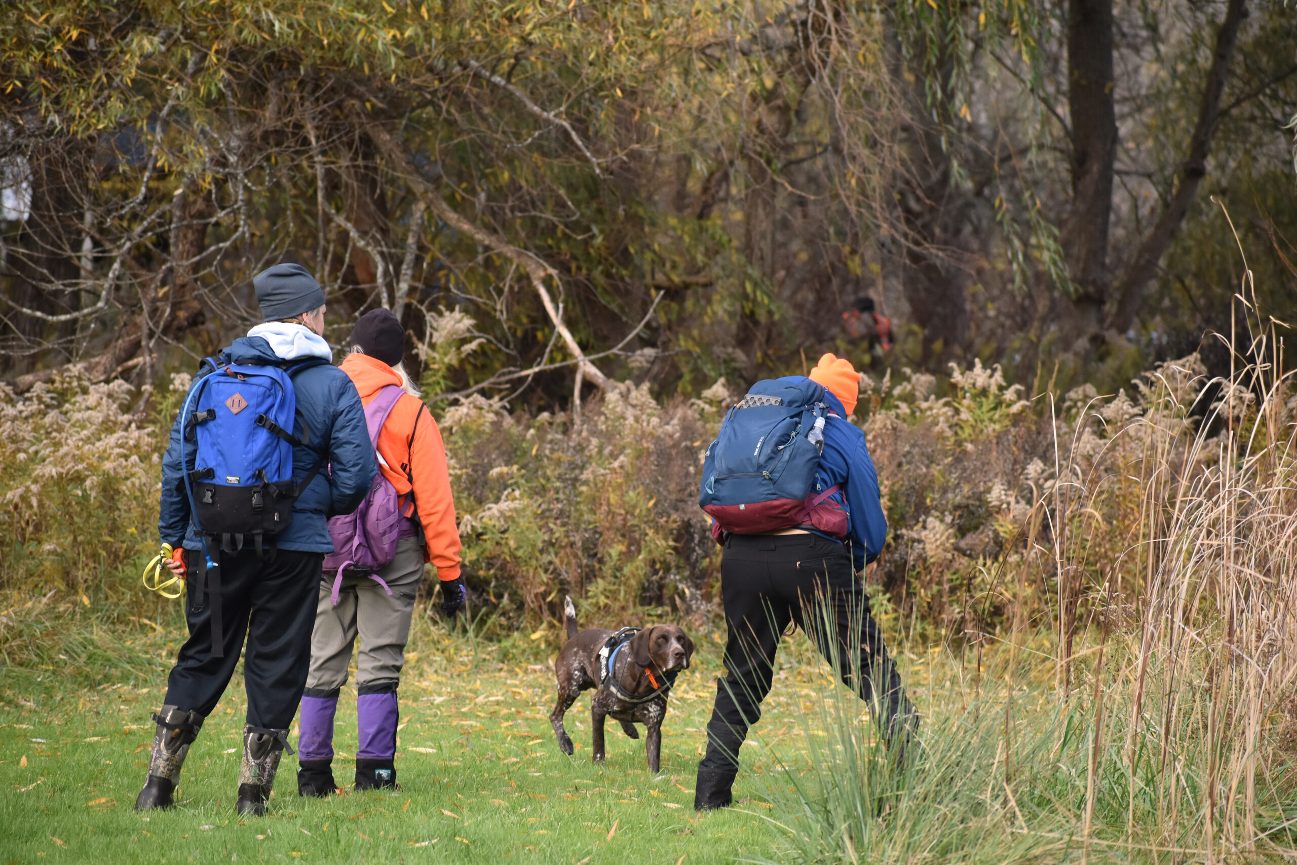 Crews return to park in search of missing man | News, Sports, Jobs ...